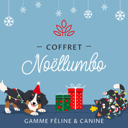 Coffret Cadeau de Noël -...