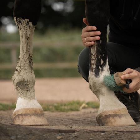 cataplasme d'argile s'enlève à la brosse cataplasme d'argile s'enlève à la brosse