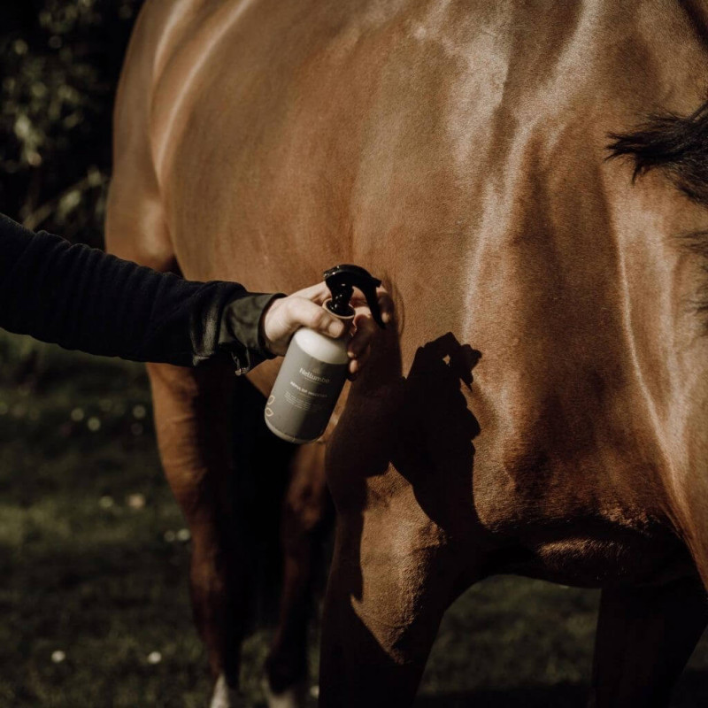 Anti mouche cheval - Répulsif insectes naturel pour chevaux