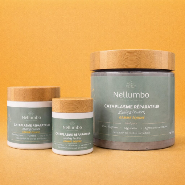 Cataplasme réparateur