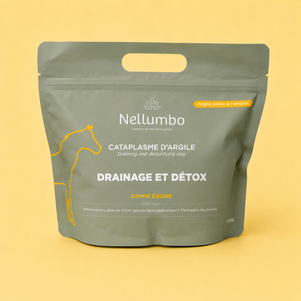 Cataplasme d'argile - Drainage & Détox