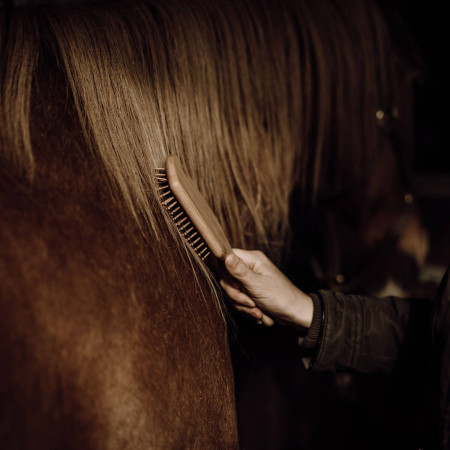 Brosse démêlante pour cheval en bambou