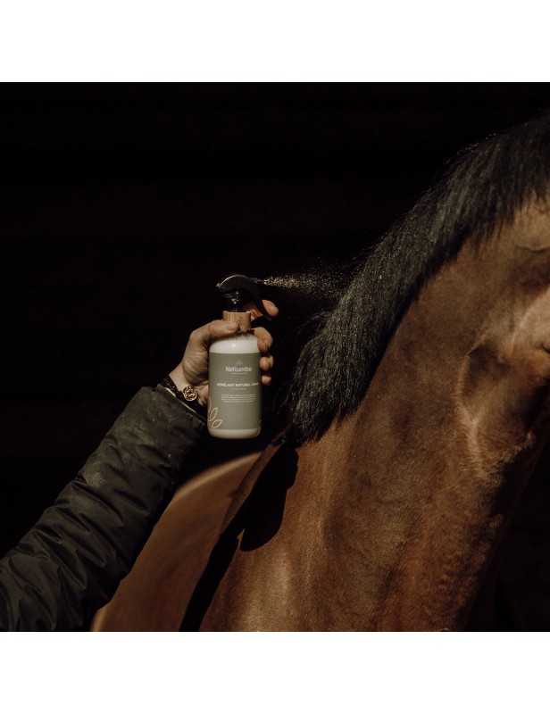 application démêlant crins cheval naturel en hiver